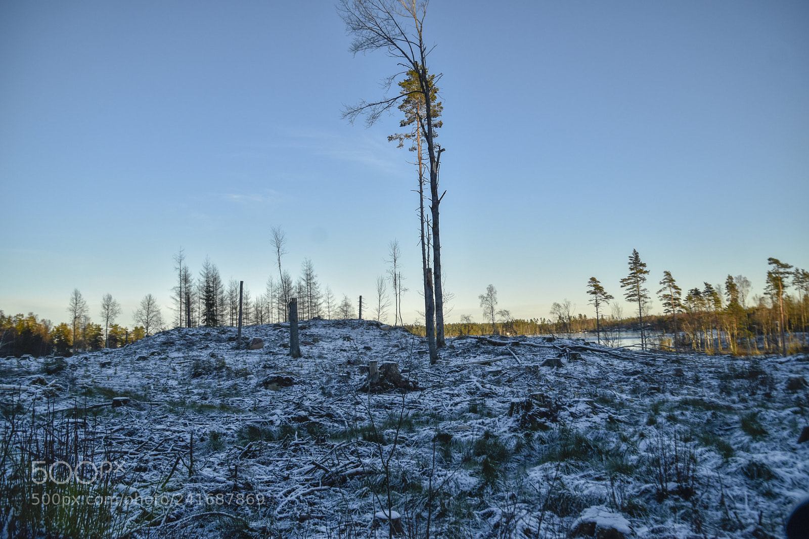Nikon D5500 sample photo. Kalhygge photography
