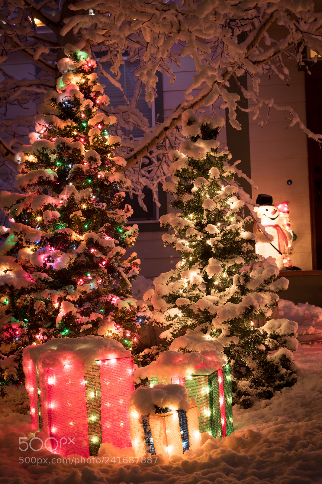Canon EOS 6D Mark II sample photo. Christmas photography