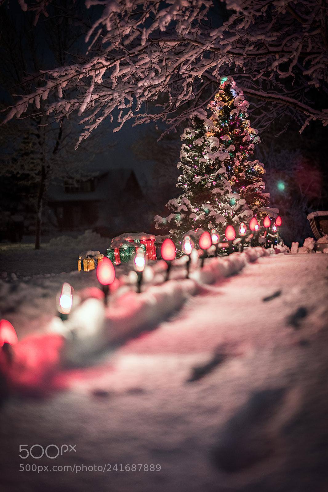 Canon EOS 6D Mark II sample photo. Christmas photography