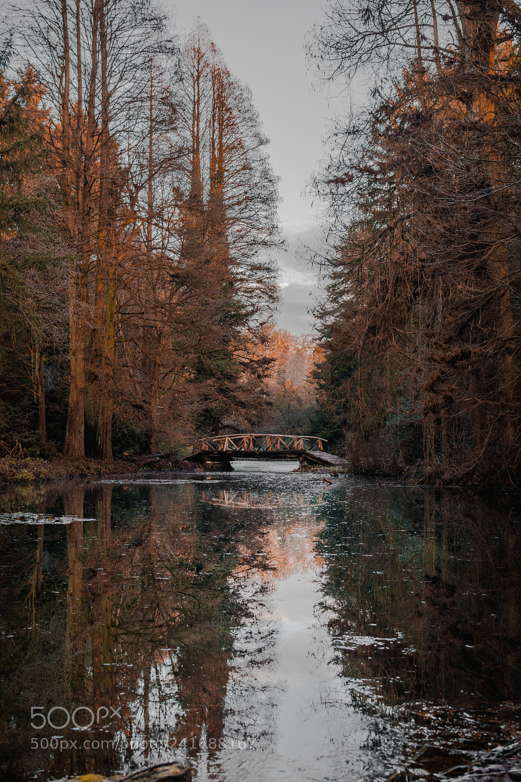Nikon D7100 sample photo. Two worlds photography