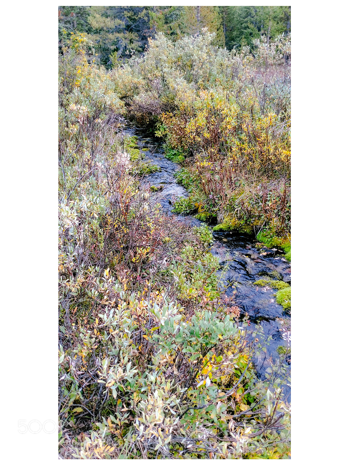 Motorola XT1650 sample photo. Flow photography