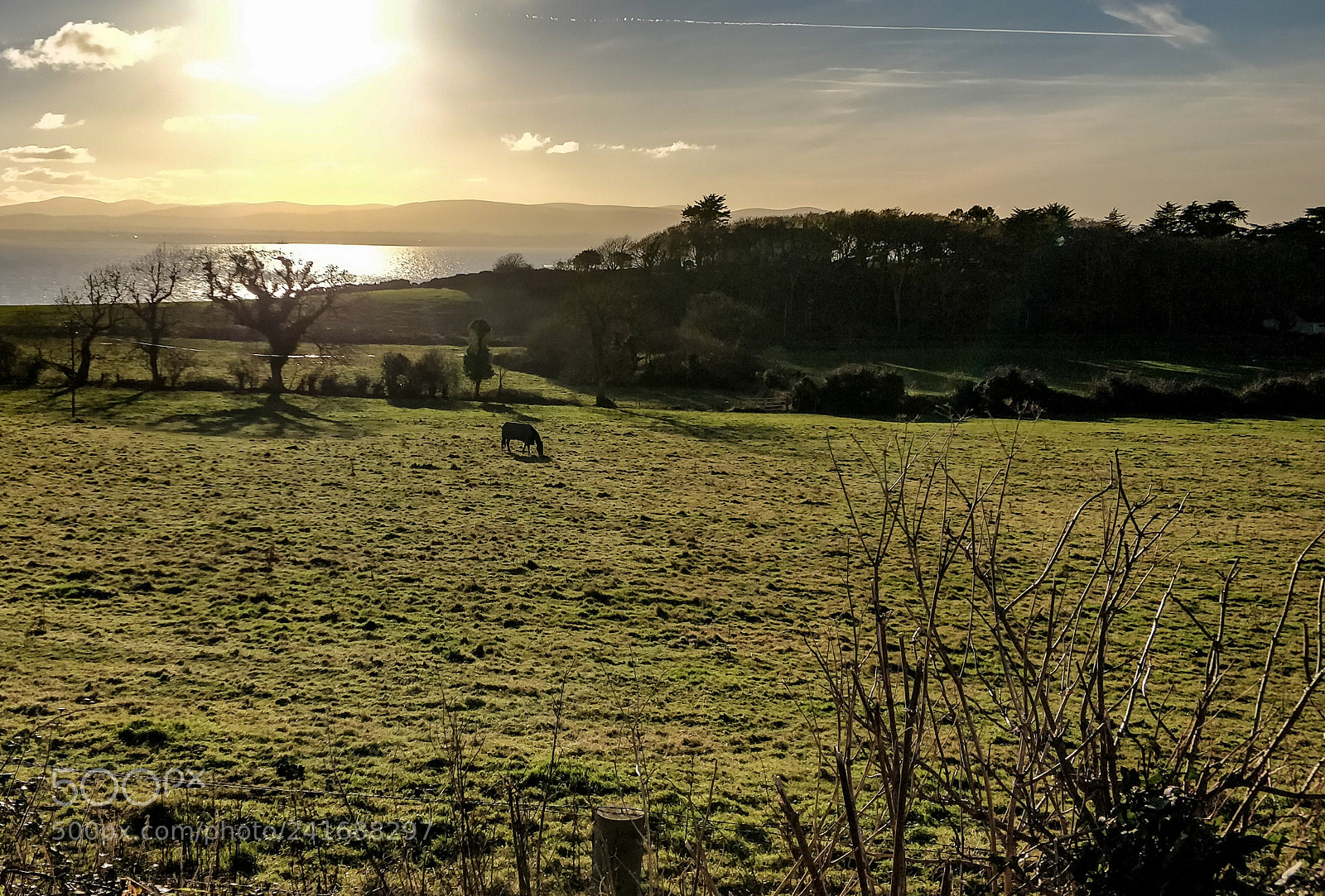OnePlus 5T sample photo. Howth cliff walk 10 photography
