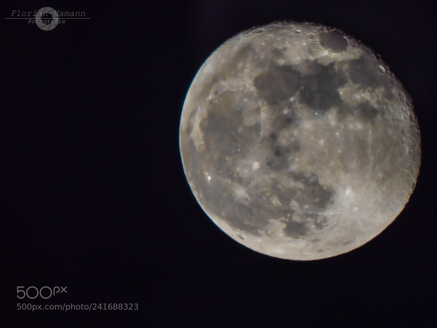 Olympus OM-D E-M1 Mark II sample photo. Mond 03. januar photography