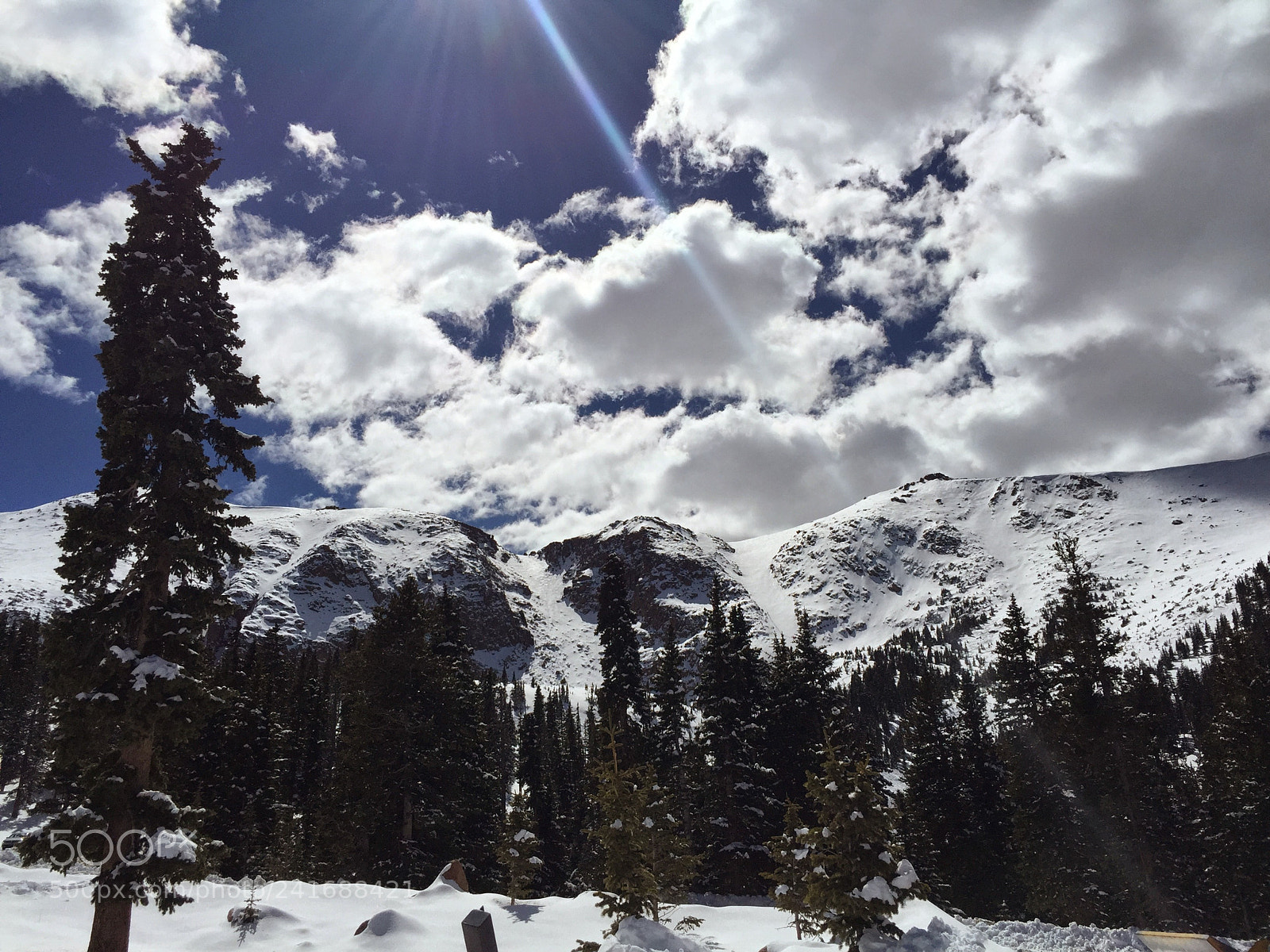 Apple iPhone 6 Plus sample photo. Snow fall photography