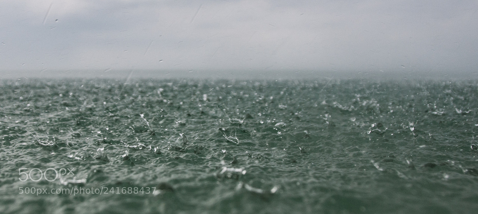 Nikon D300S sample photo. The rain in the photography