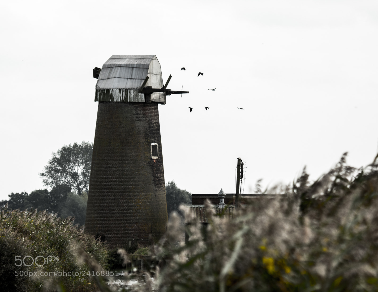 Canon EOS 1300D (EOS Rebel T6 / EOS Kiss X80) sample photo. Northfolk broads photography