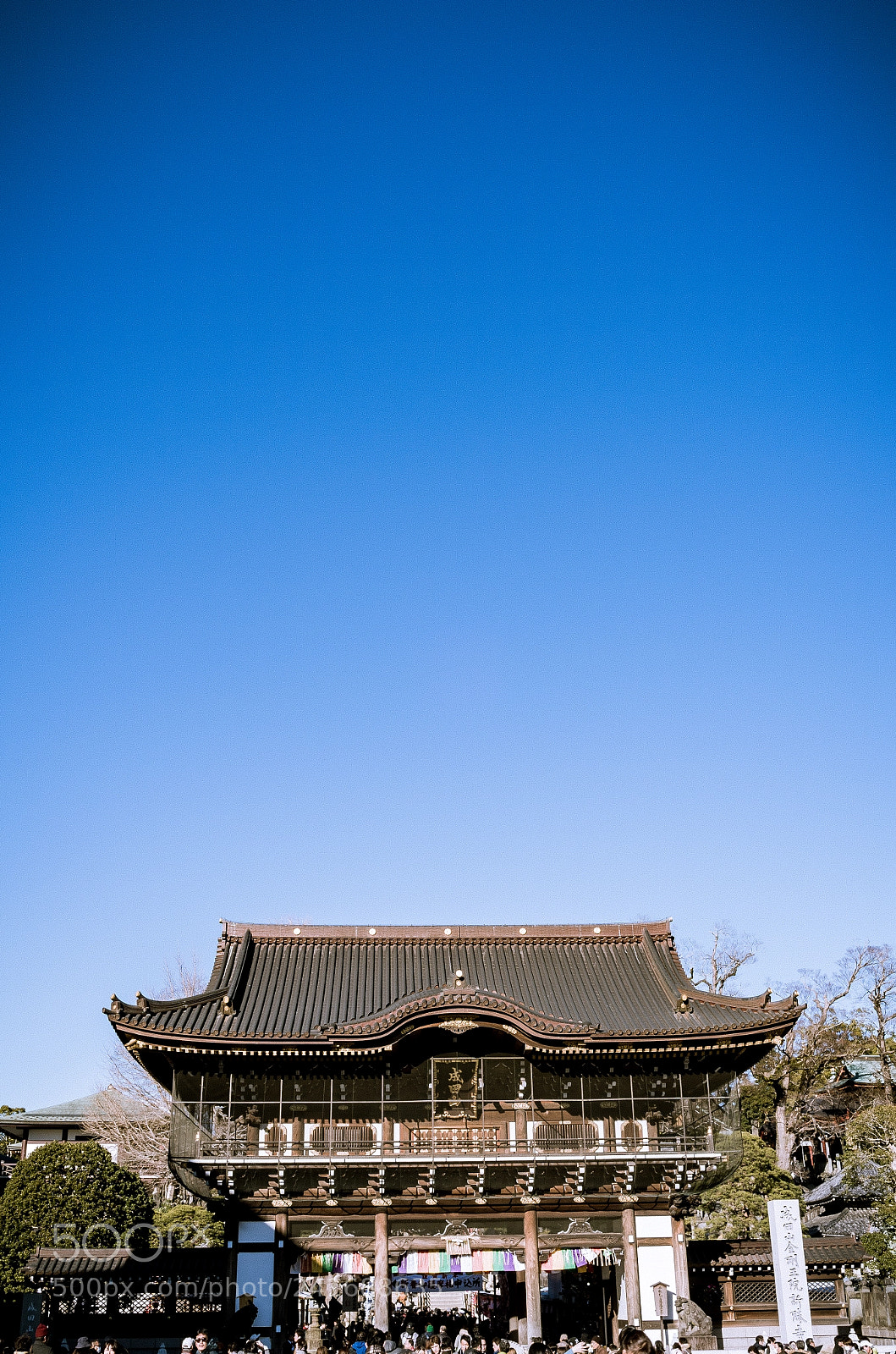 Leica X2 sample photo. Spread blue sky photography