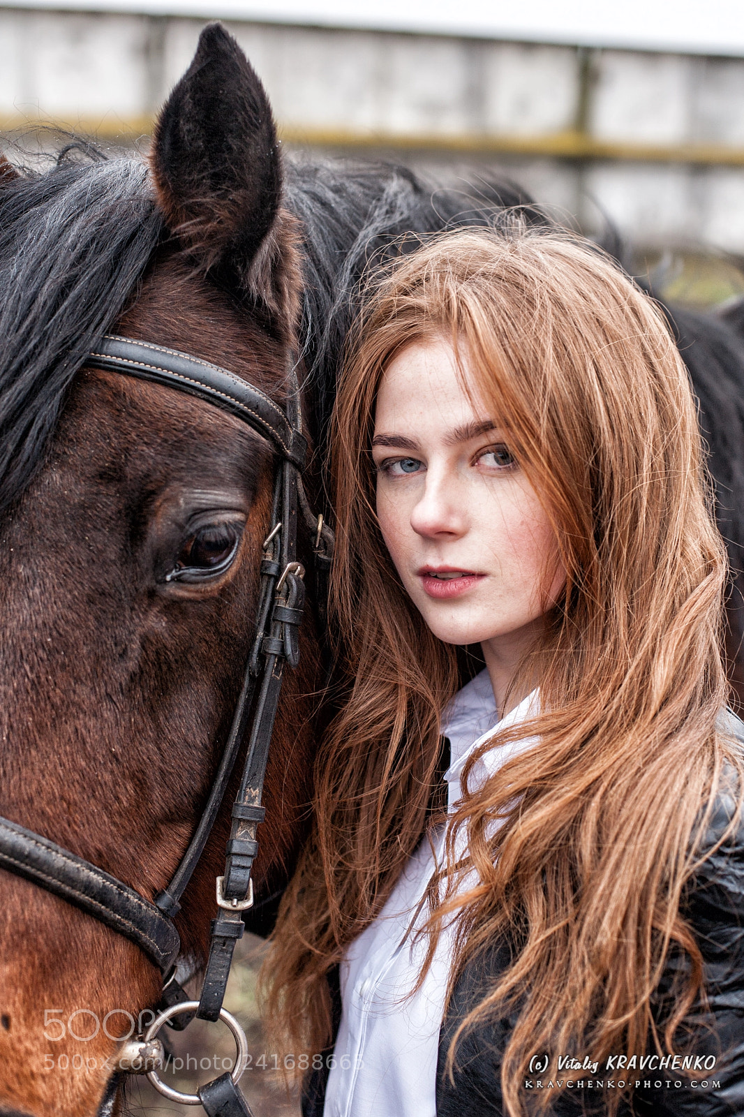Canon EOS 5D sample photo. Red hair horse christmas :) photography