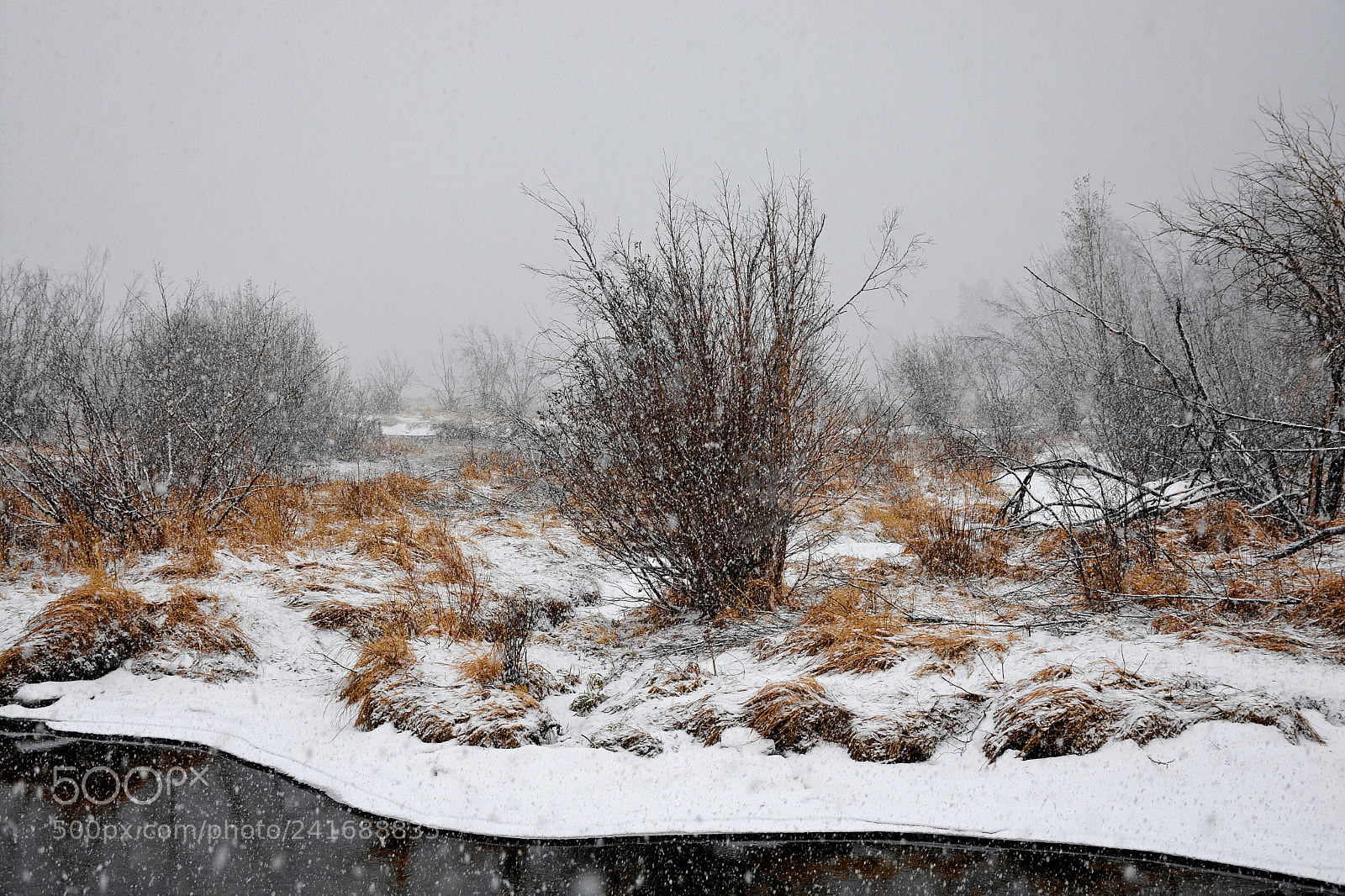 Nikon D7100 sample photo. Rmnp winter study 1 photography