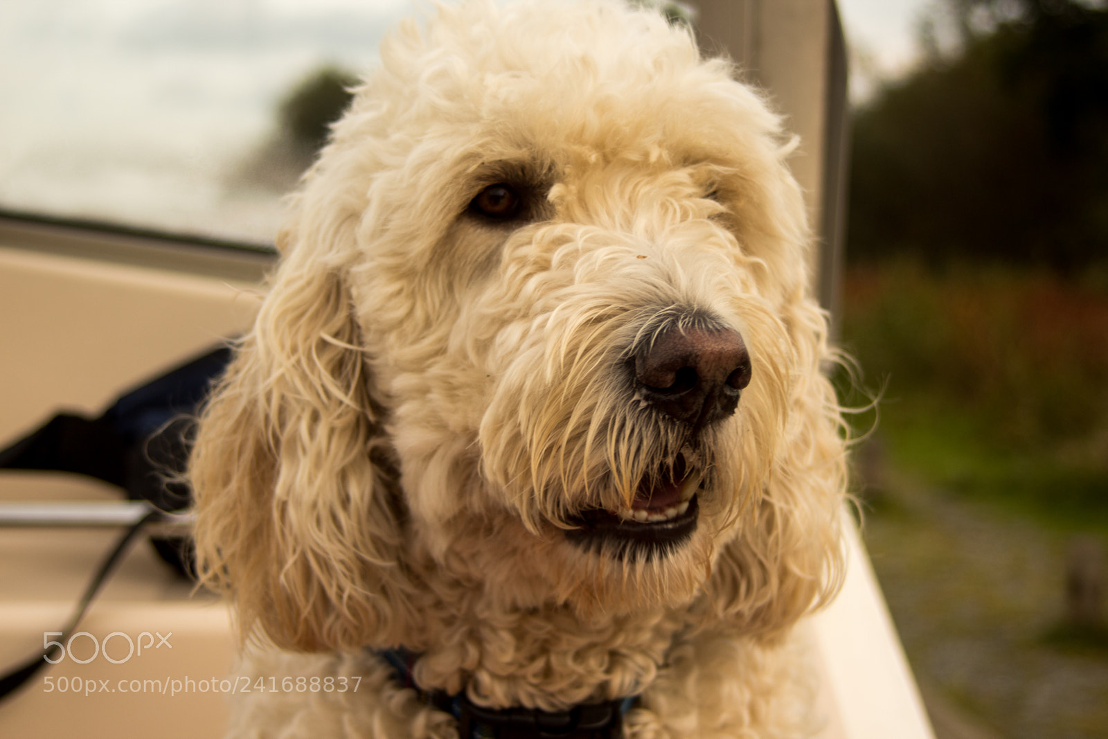 Canon EOS 1300D (EOS Rebel T6 / EOS Kiss X80) sample photo. Northfolk broads photography