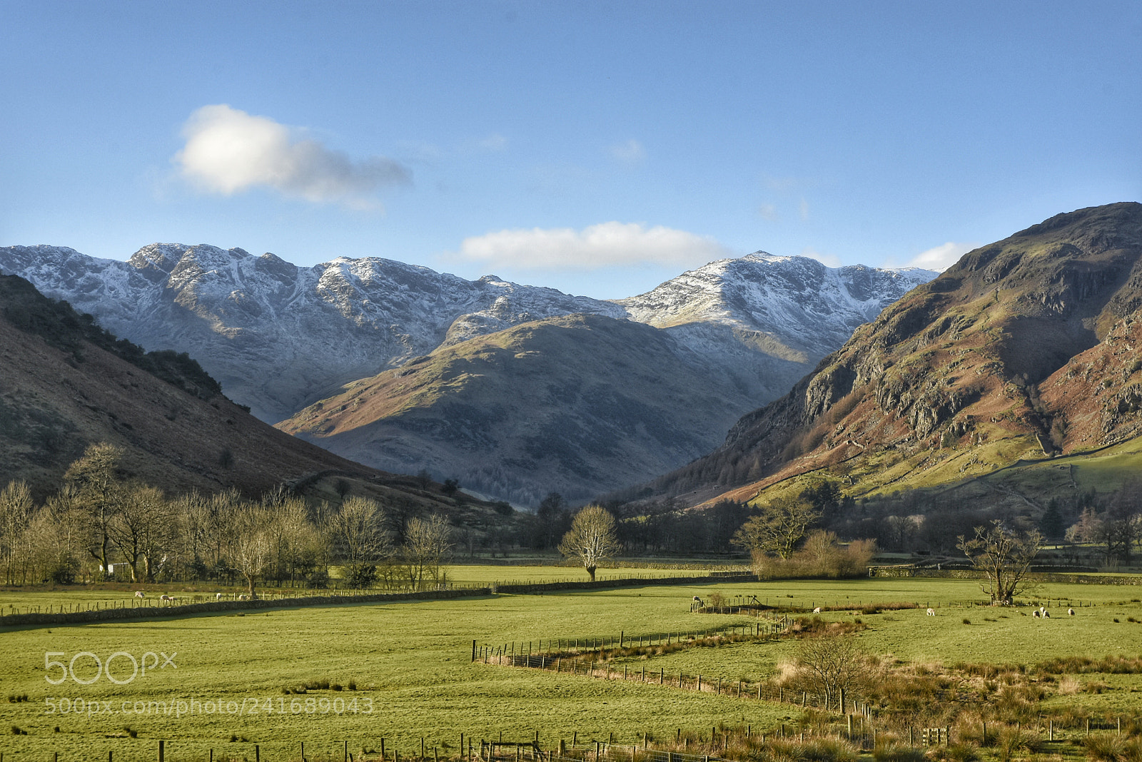 Nikon D7200 sample photo. Entrance to the langdales photography