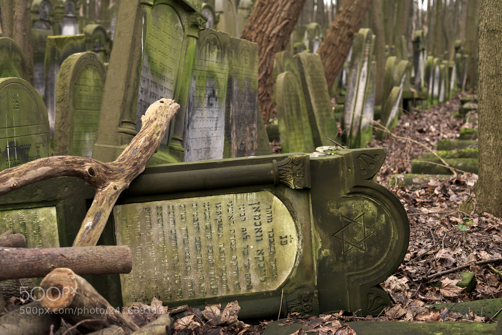 Nikon D750 + Nikon AF-S Nikkor 50mm F1.8G sample photo. Fallen gravestone photography