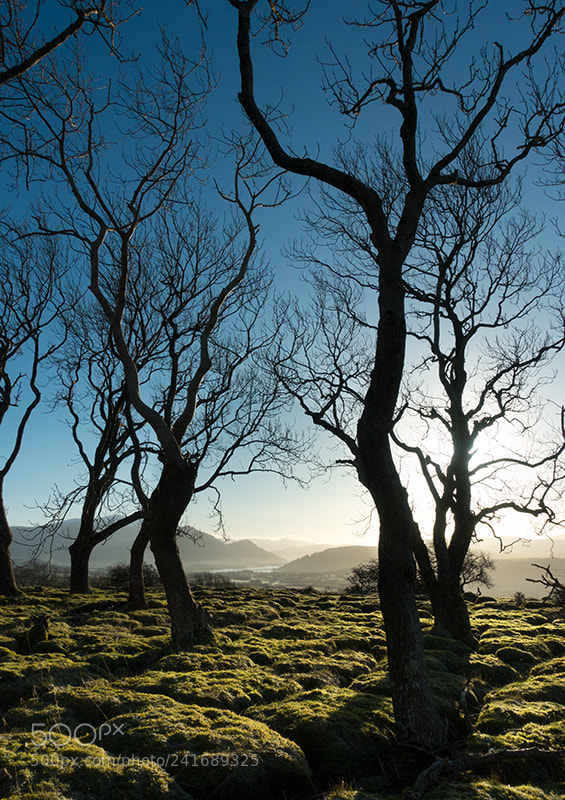 Sony Cyber-shot DSC-RX100 III sample photo. Clints crags bassenthwaite photography