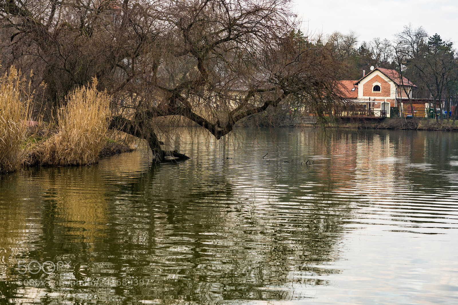 Sony a7 II sample photo. Dsc00089-2.jpg photography