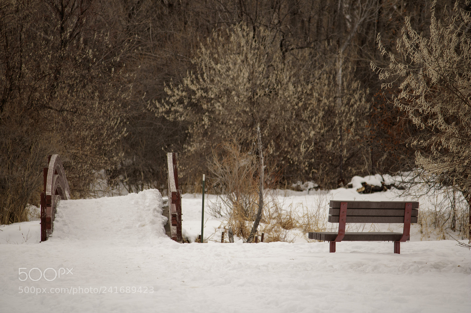 Canon EOS 750D (EOS Rebel T6i / EOS Kiss X8i) sample photo. Lonely & waiting. photography