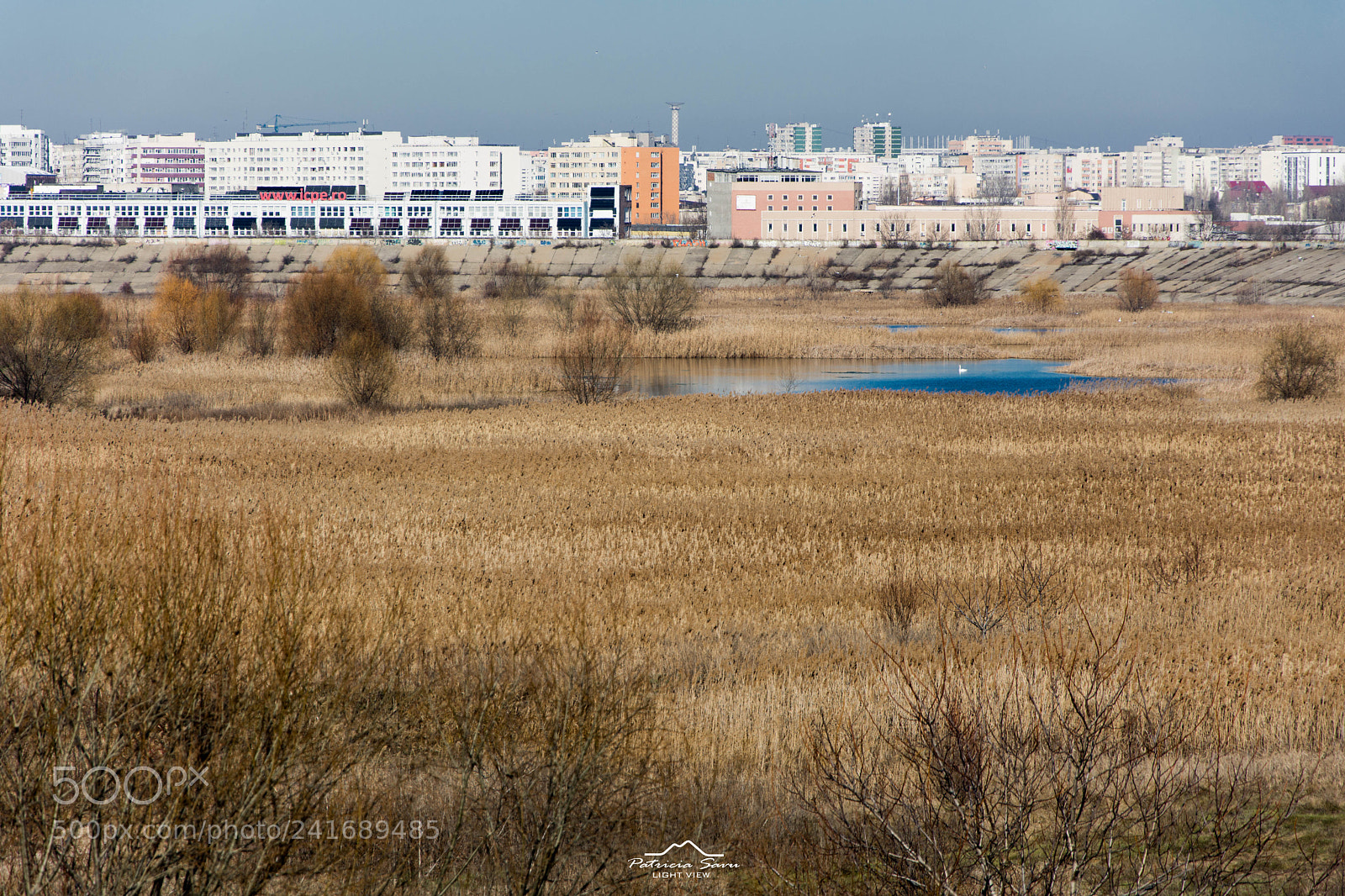 Nikon D7200 sample photo. City view! photography