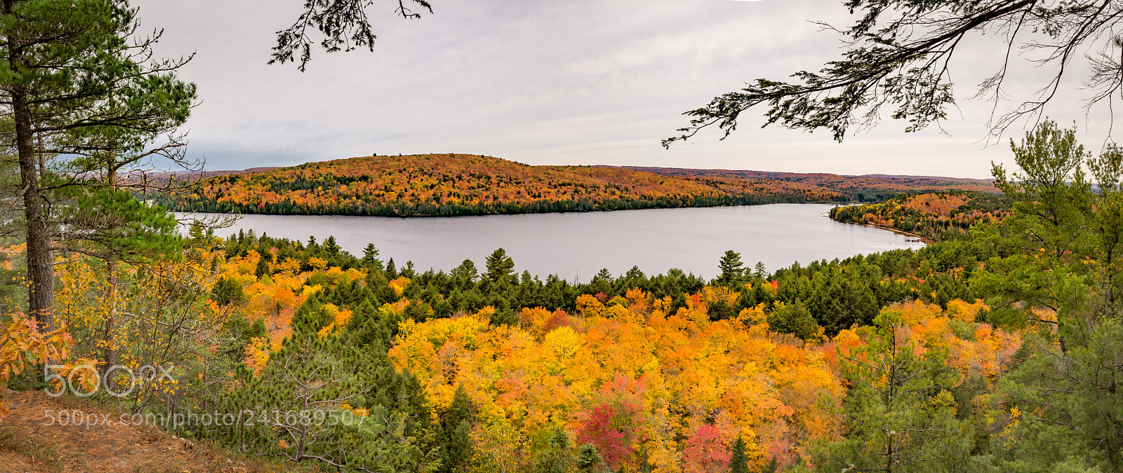 Nikon D7200 sample photo. Fall 1 photography
