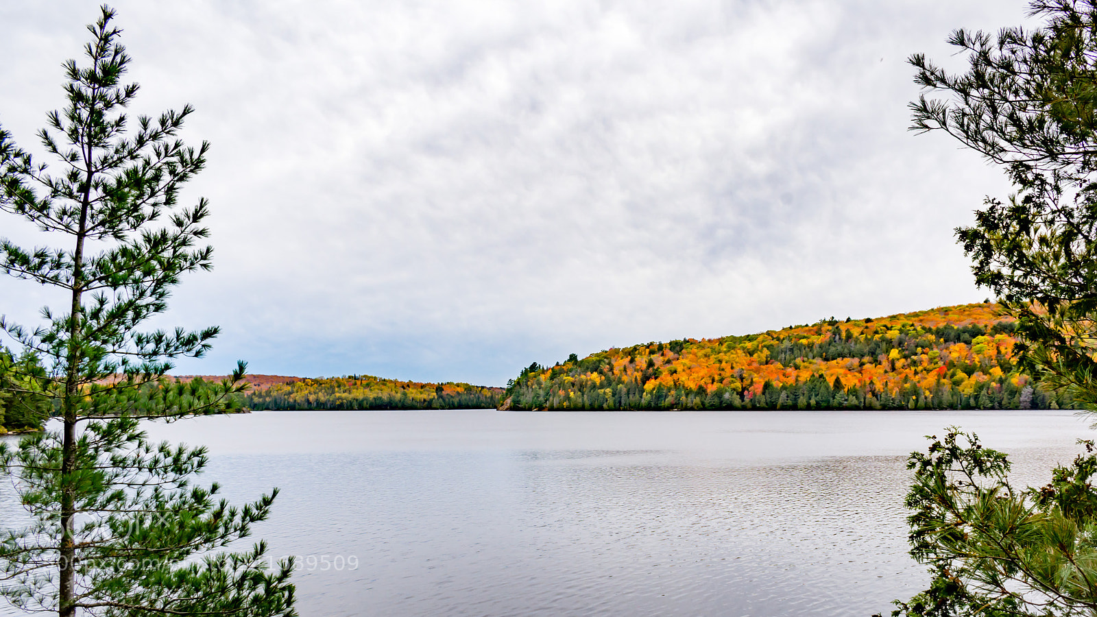 Nikon D7200 sample photo. Fall 3 photography
