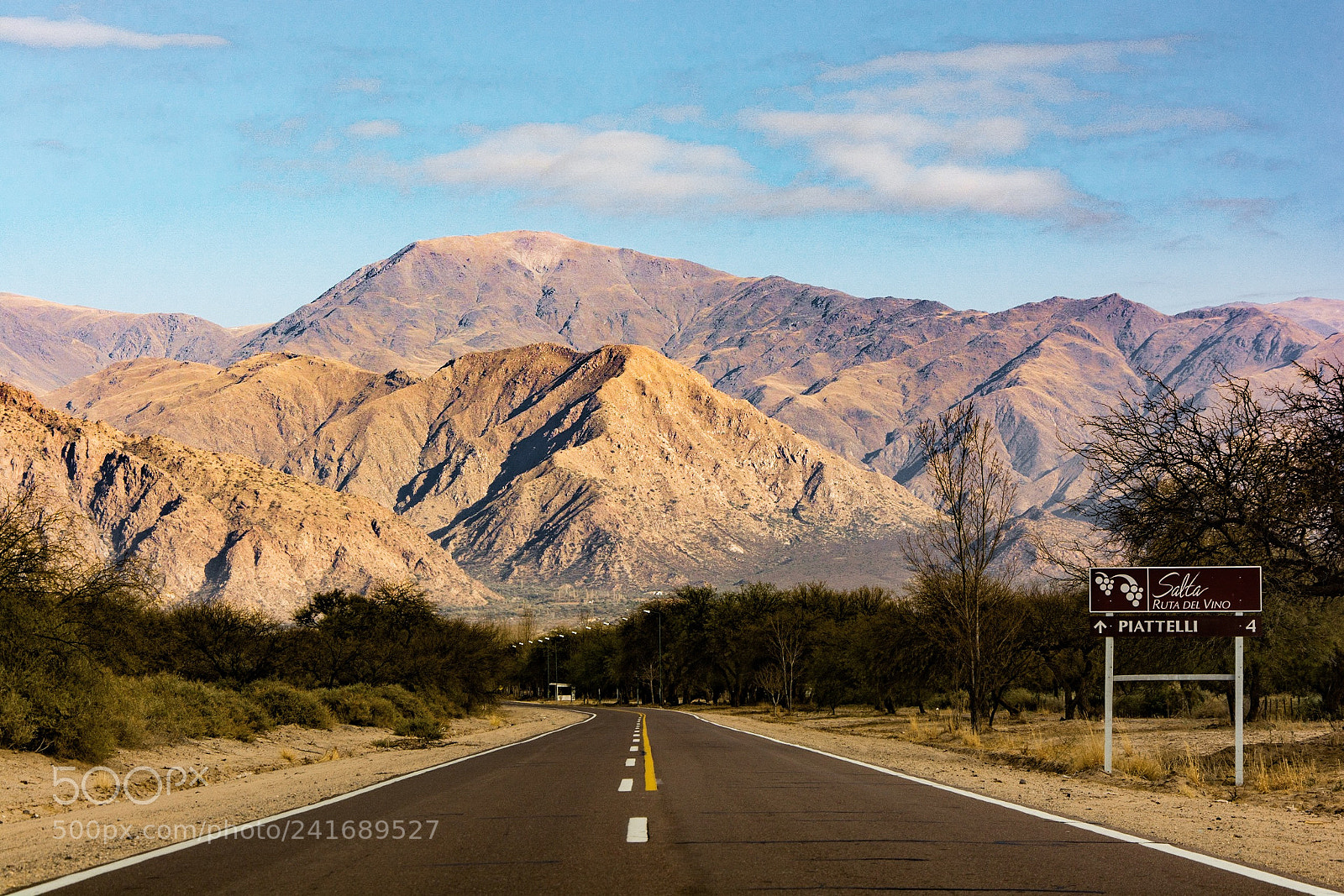 Nikon D7100 sample photo. Wine route, salta. photography