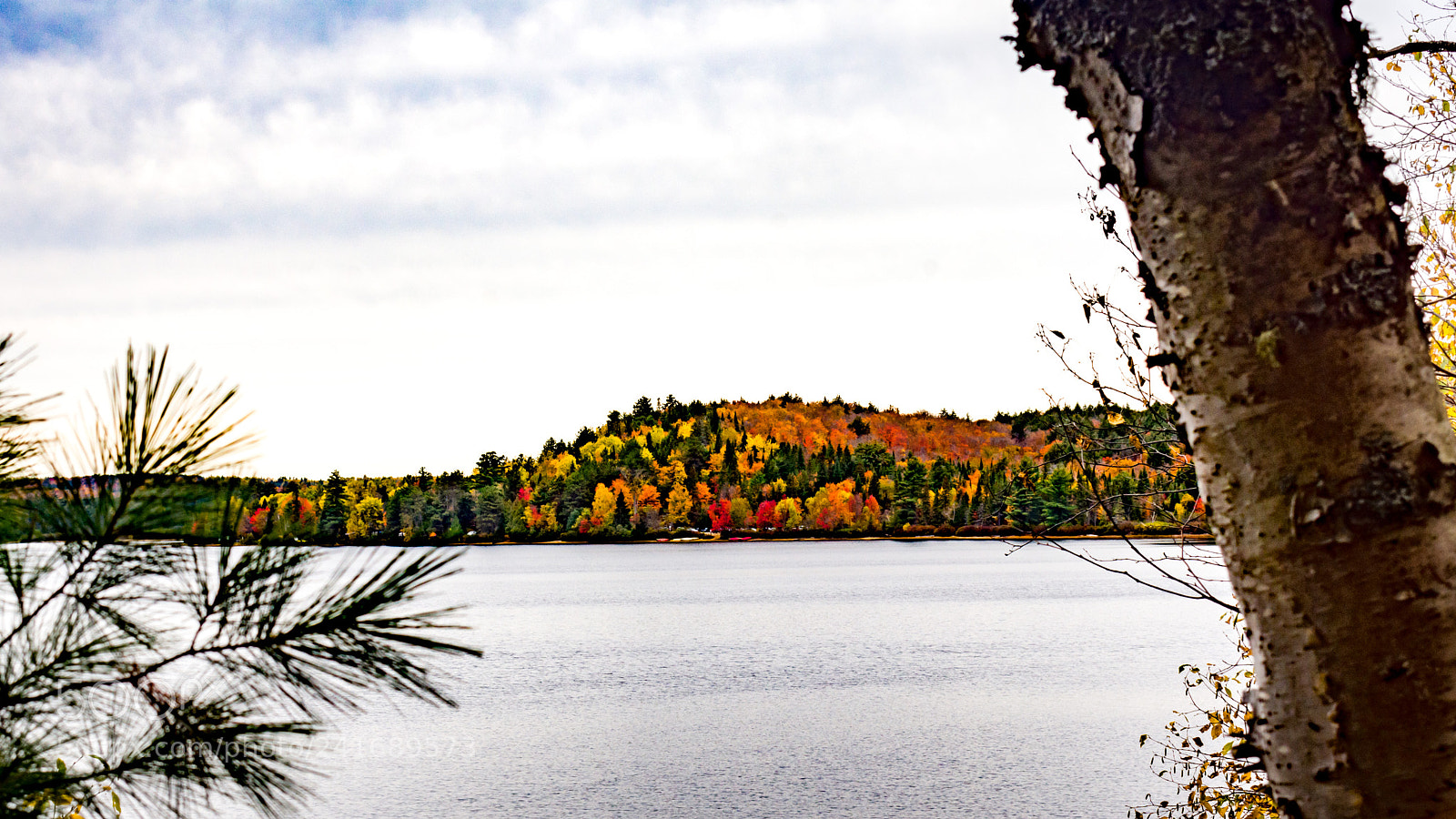 Nikon D7200 sample photo. Fall 5 photography