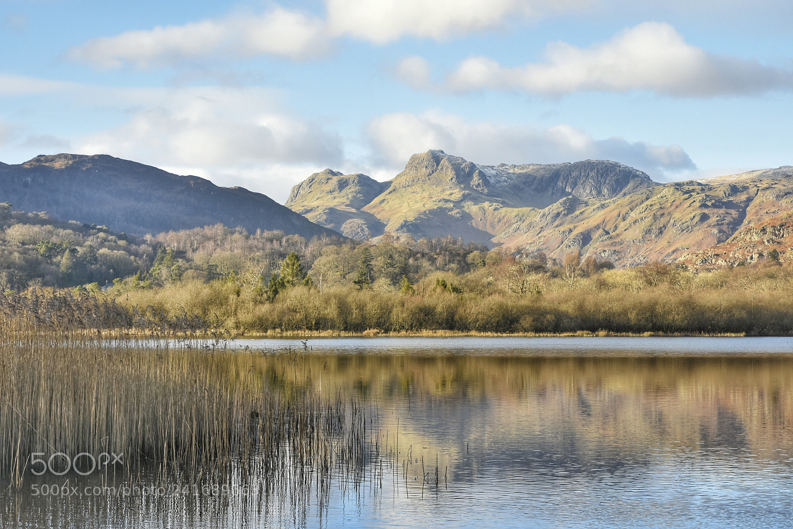 Nikon D7200 sample photo. The langdales photography