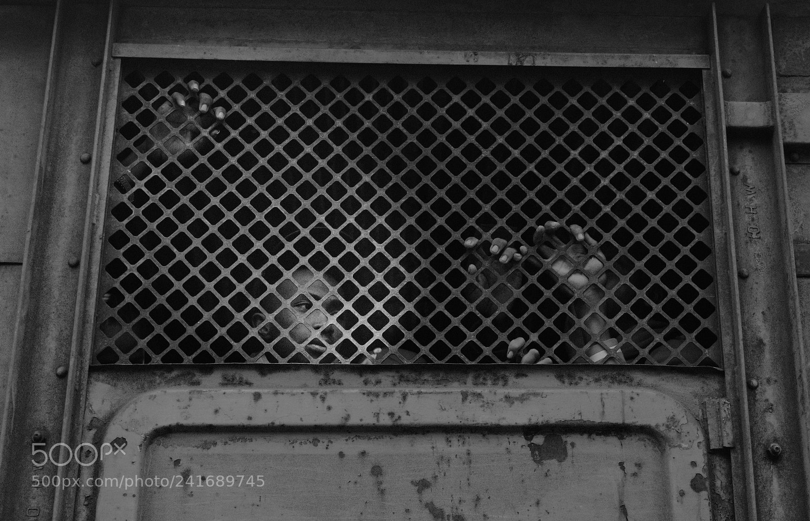 Nikon D5500 sample photo. Trapped in life photography
