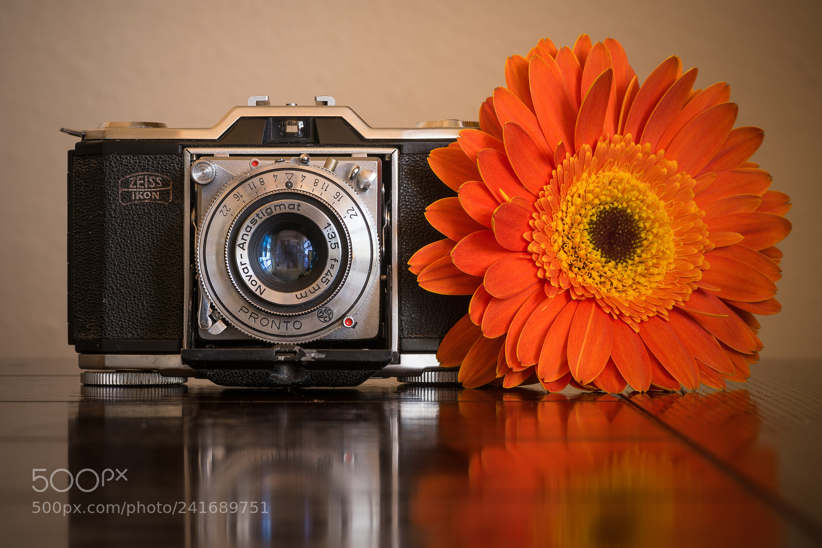 Nikon D850 sample photo. Zeiss ikonta photography