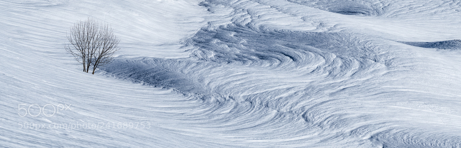 Olympus OM-D E-M1 Mark II sample photo. Snow swirls photography