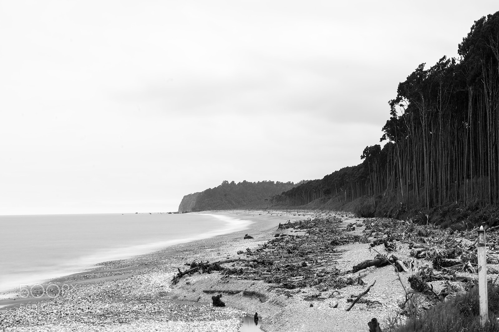 Nikon D800 sample photo. Acrylic photography