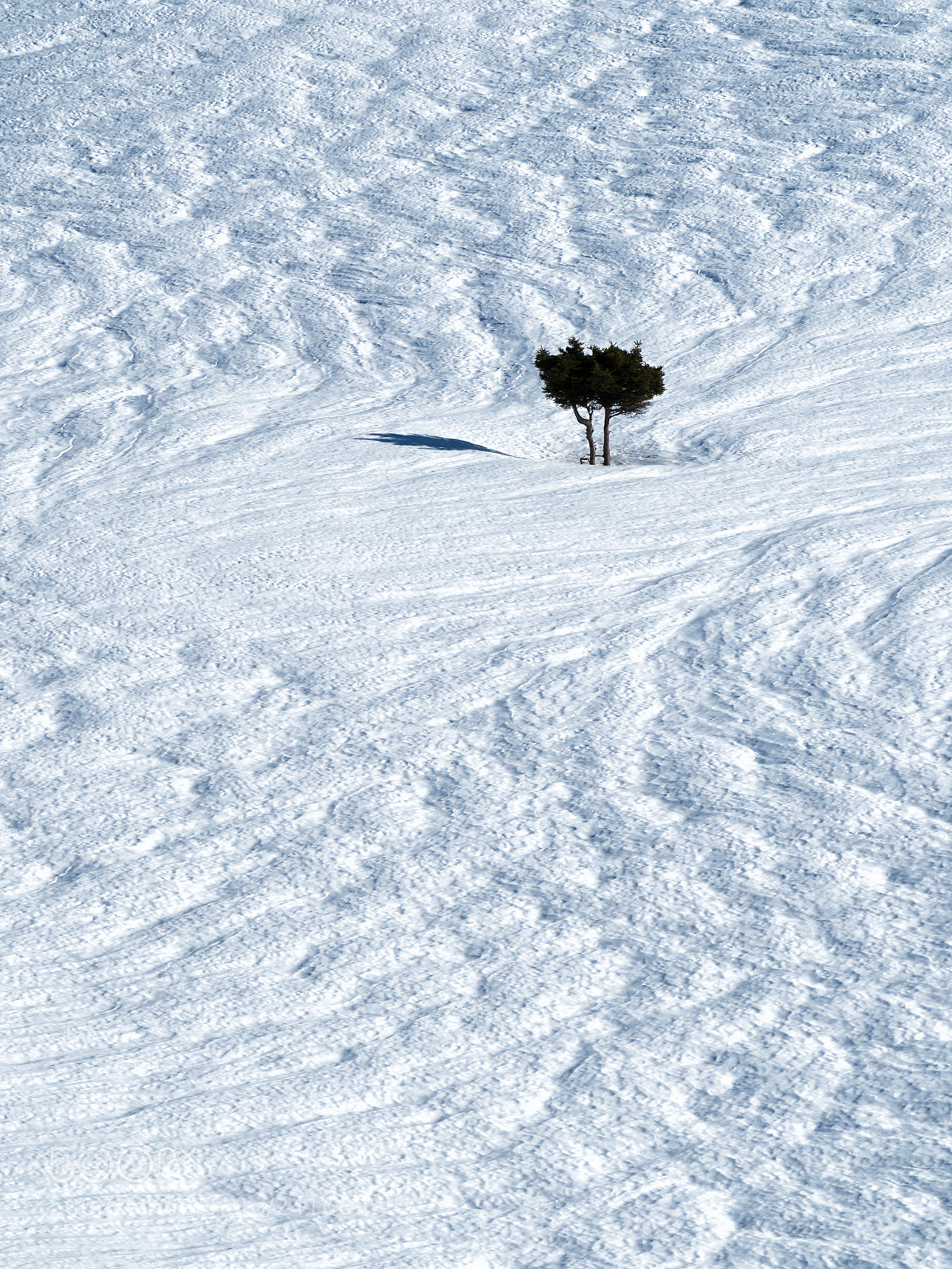 Olympus OM-D E-M1 Mark II sample photo. Patterns in the snow photography