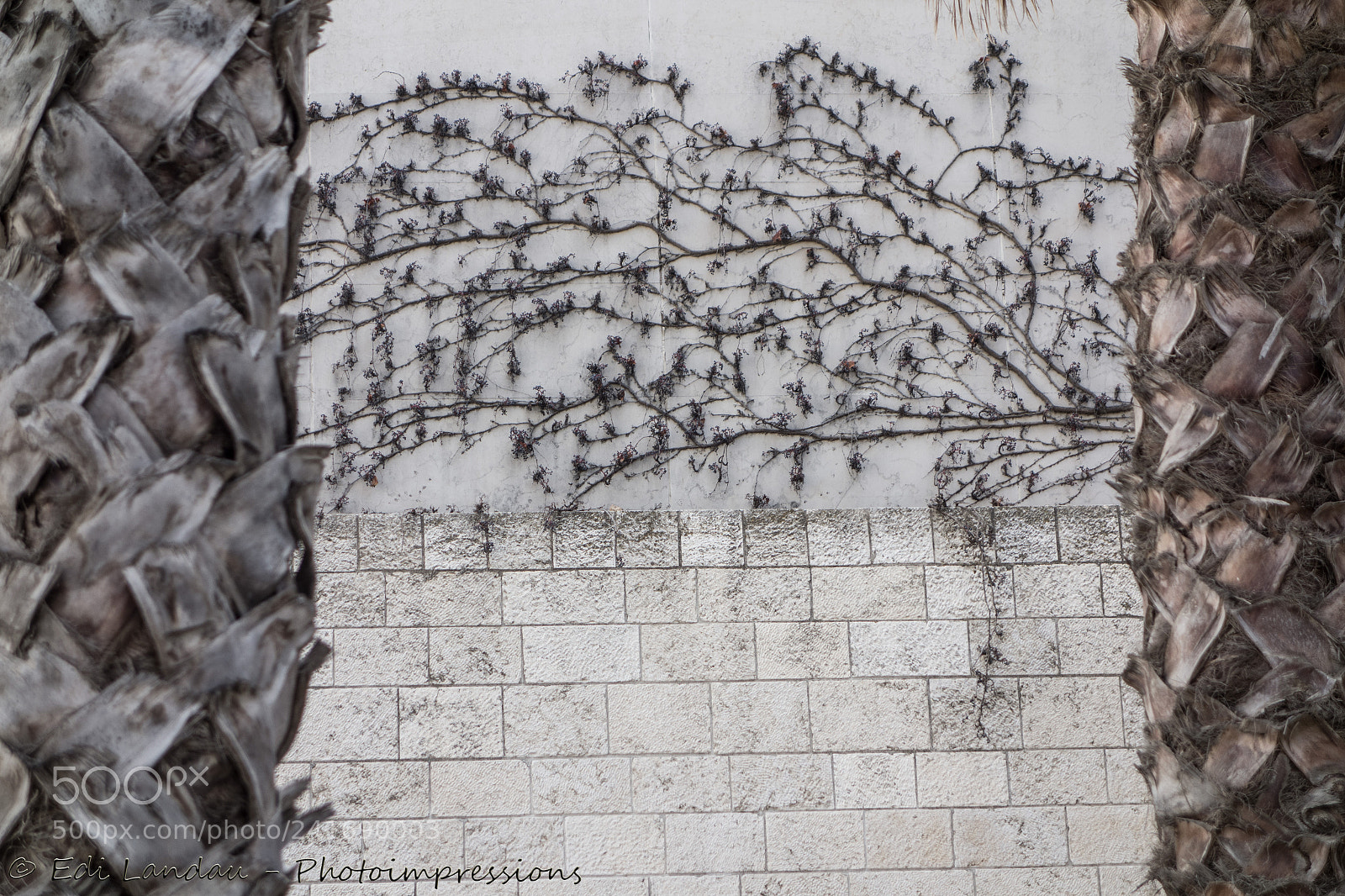 Sony Cyber-shot DSC-RX100 sample photo. Writing on the wall photography