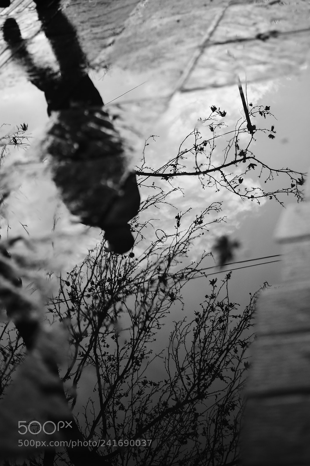 Nikon D7100 sample photo. Alone photography