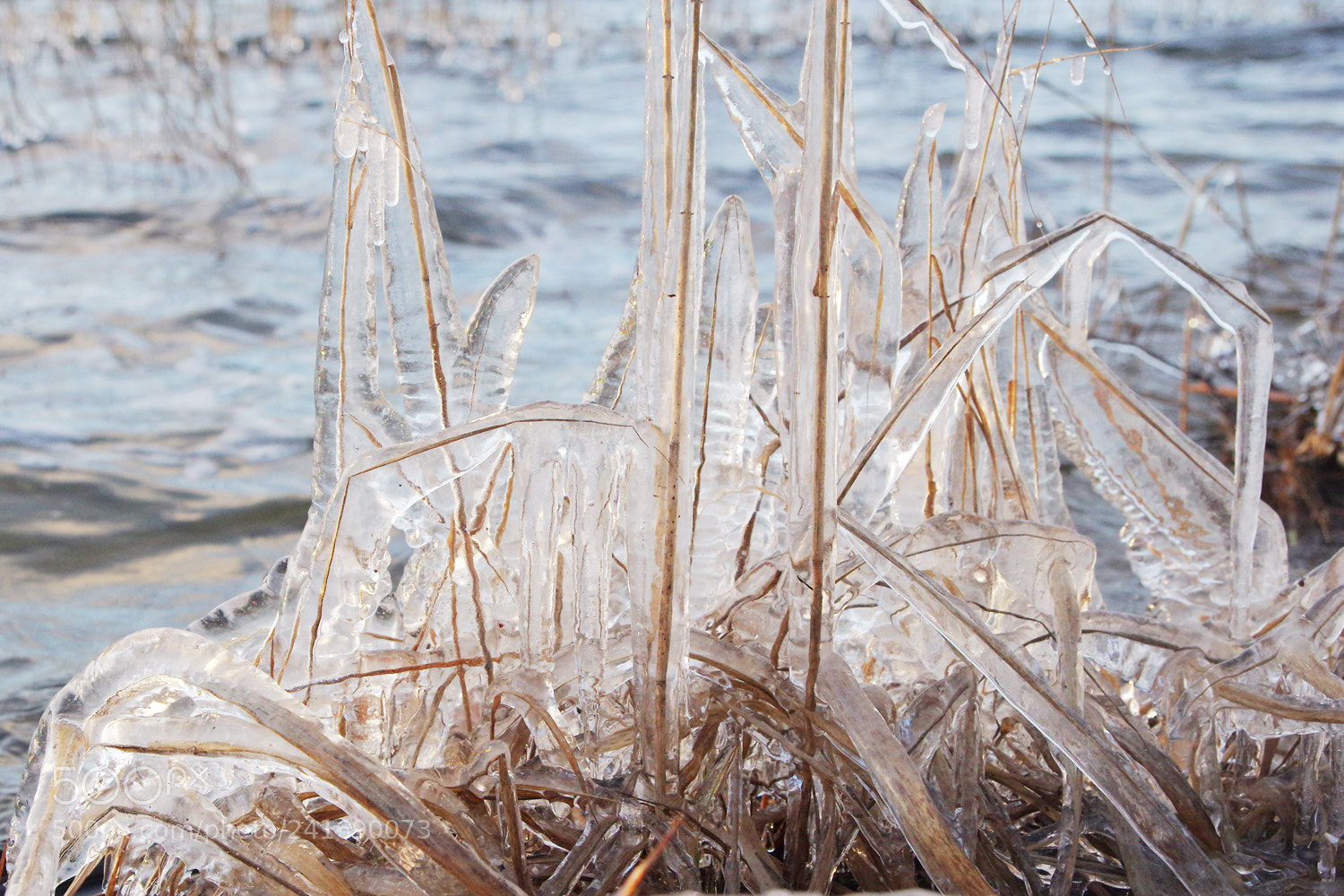 Pentax K-3 sample photo. Ice i photography