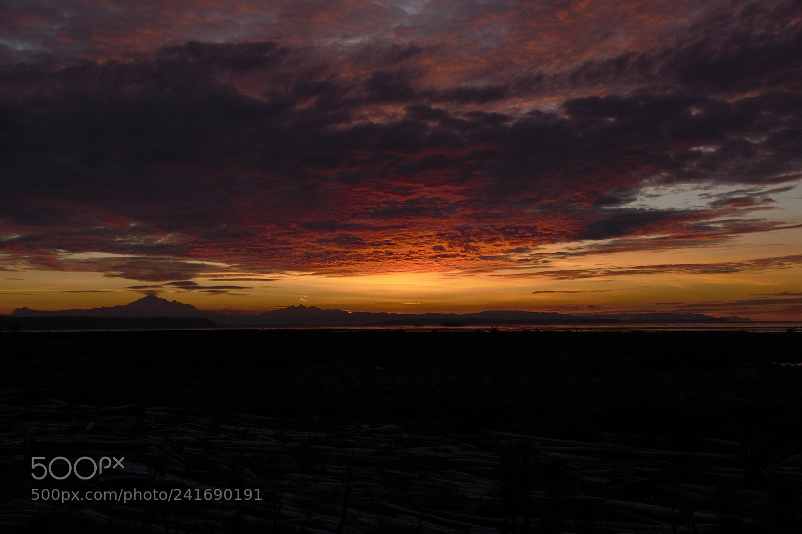 Nikon D800E sample photo. Sunrise jan1st 2018 photography