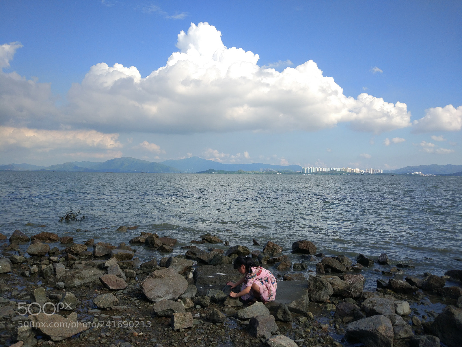 Xiaomi MI 5 sample photo. Untitled photography