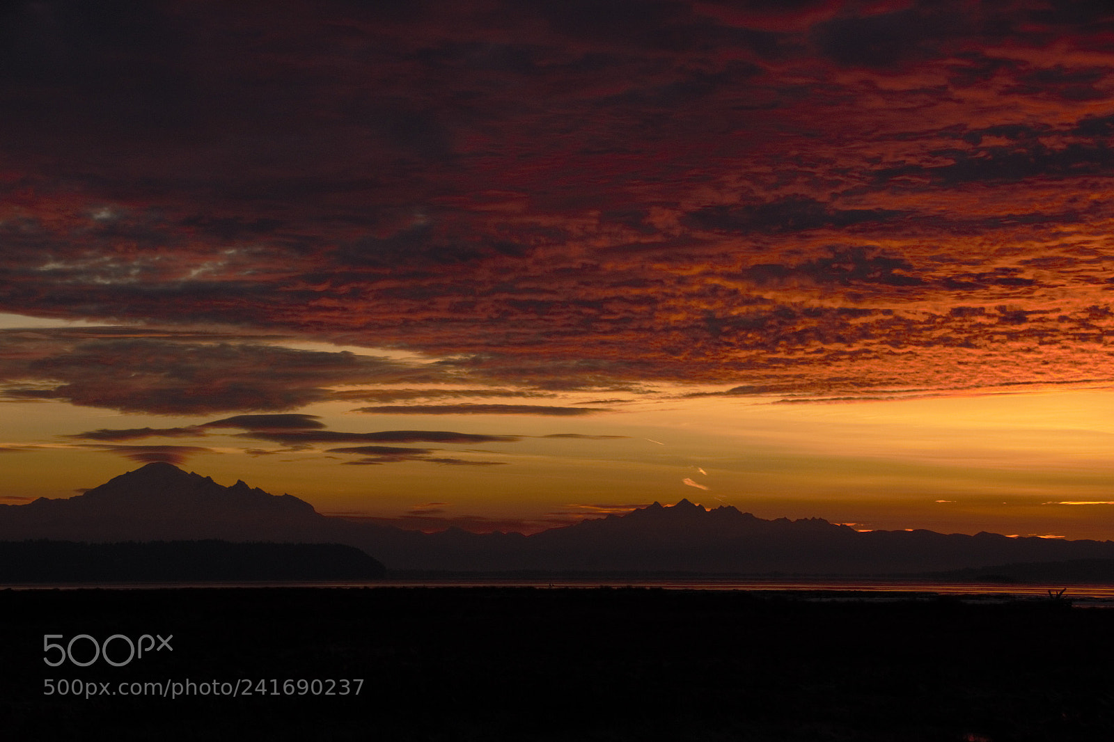 Nikon D800E sample photo. Sunrise jan1st 2018 photography