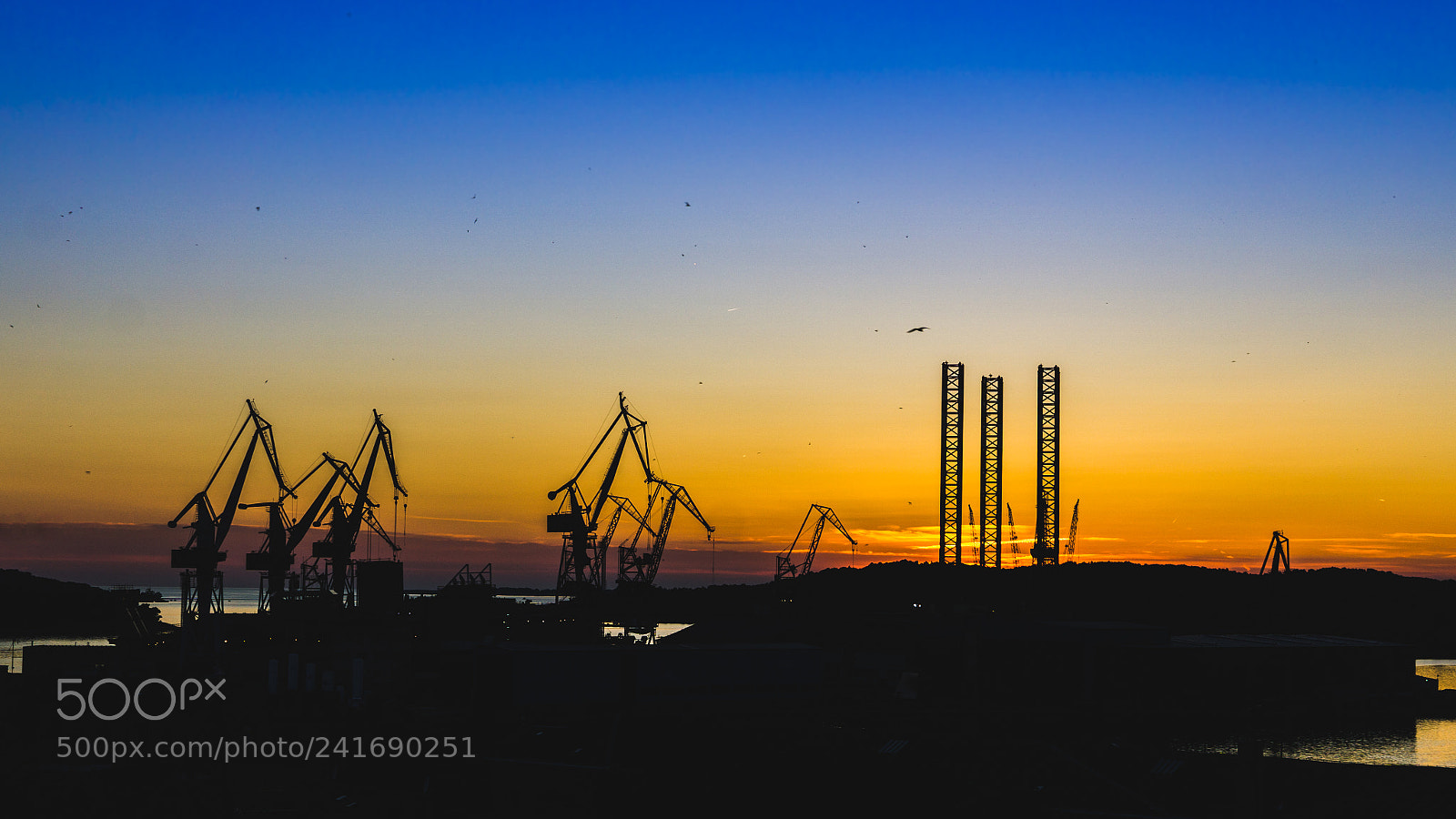 Sony a5100 sample photo. Sunset silhouette ii photography