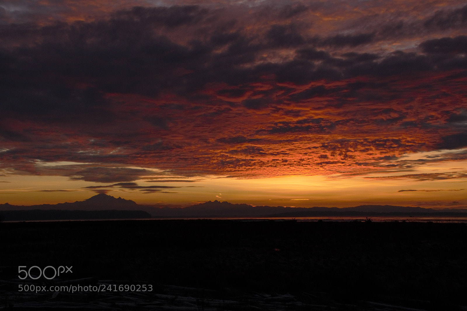 Nikon D800E sample photo. Sunrise jan1st 2018 photography