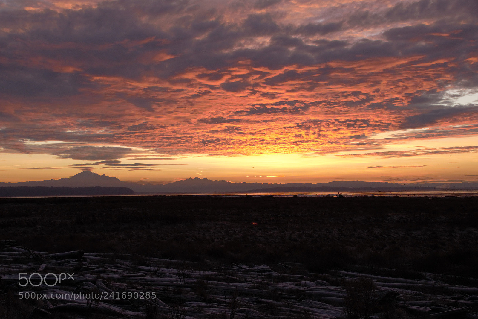 Nikon D800E sample photo. Sunrise jan1st 2018 photography