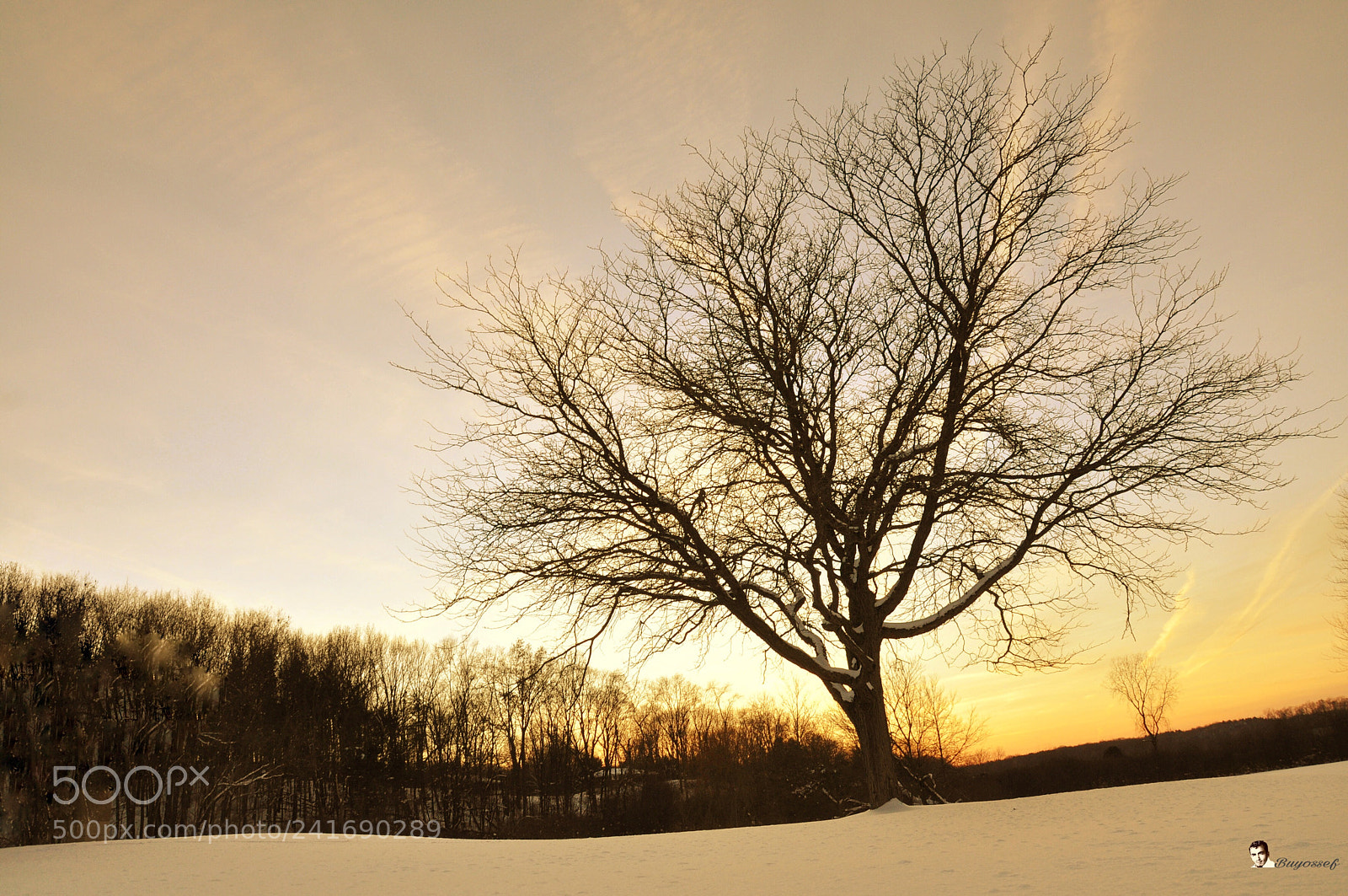 Nikon D90 sample photo. Untitled photography