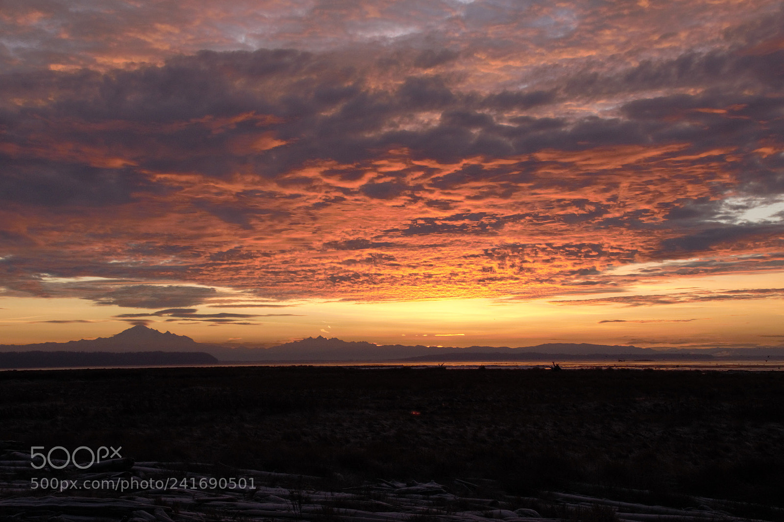 Nikon D800E sample photo. Sunrise jan1st 2018 photography