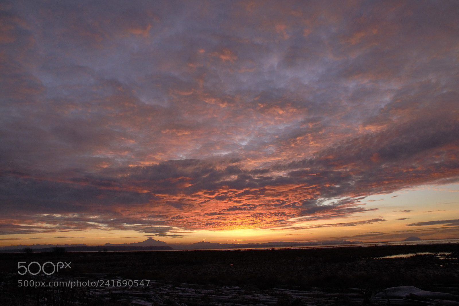 Nikon D800E sample photo. Sunrise jan1st 2018 photography