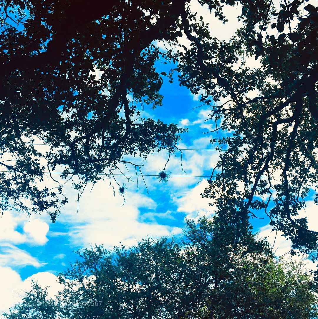 Apple iPhone 6 sample photo. Untitled photography