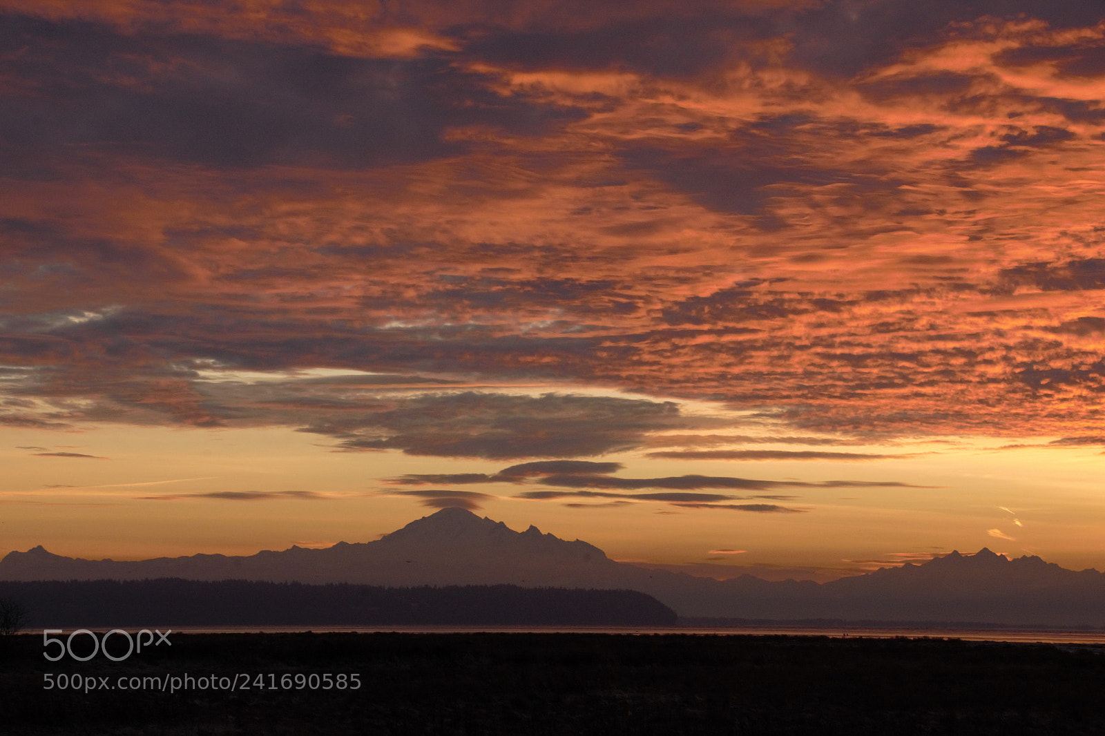 Nikon D800E sample photo. Sunrise jan1st 2018 photography