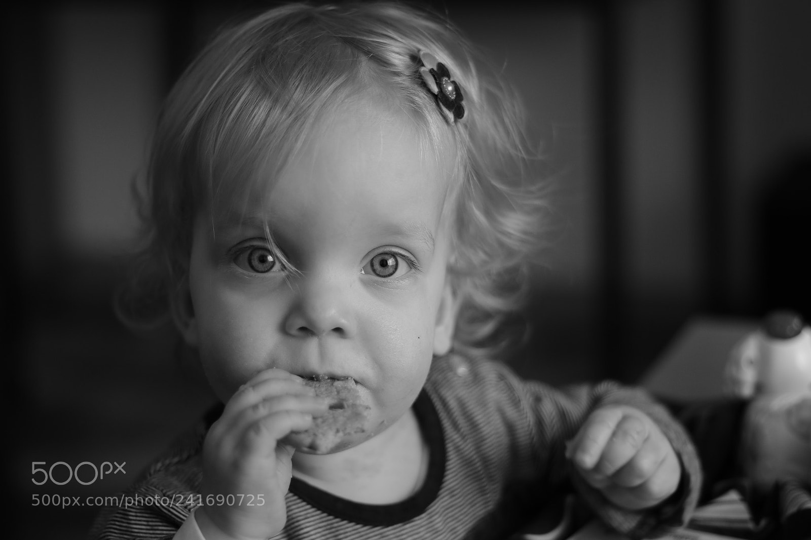 Canon EOS 70D + Canon EF 50mm F1.8 STM sample photo. Sabine photography
