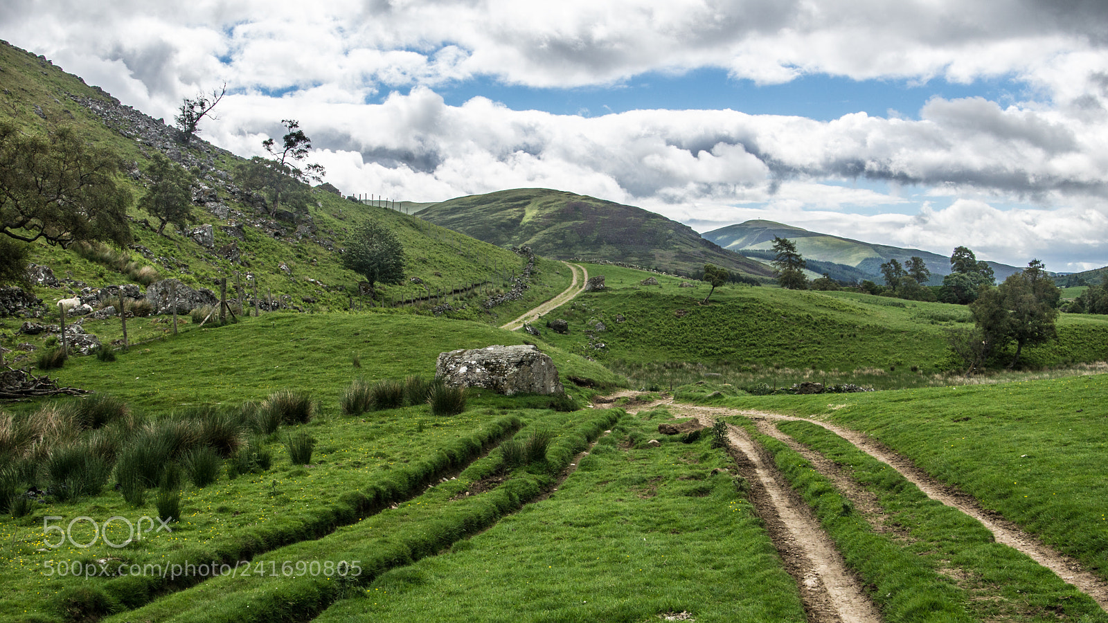 Sony SLT-A77 sample photo. The rocky trail. photography