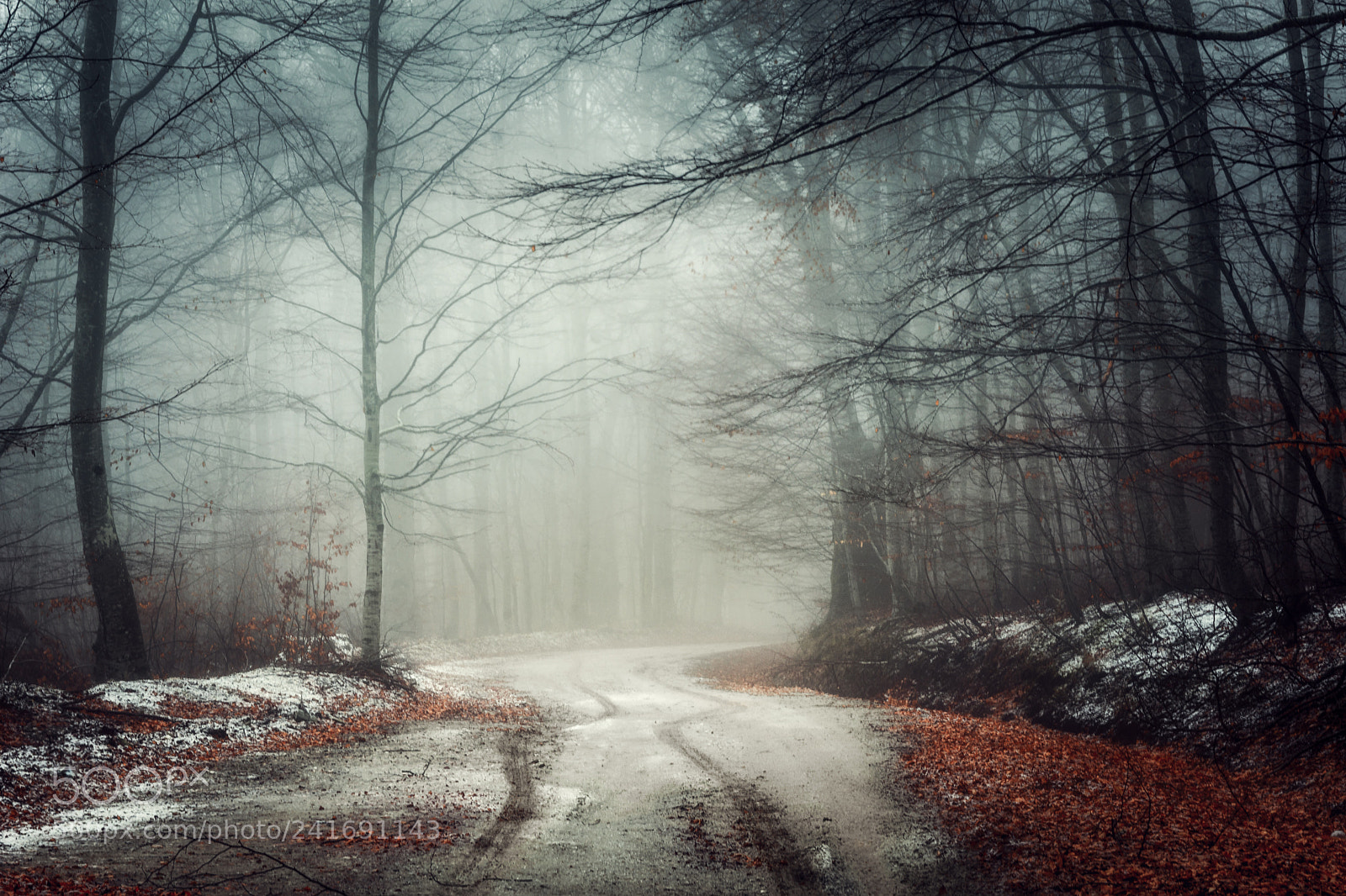 Nikon D7200 sample photo. Winter forest photography