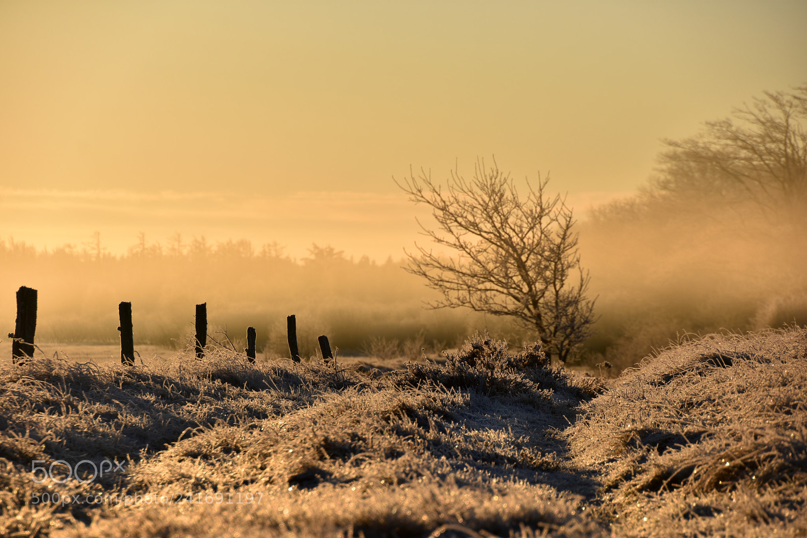 Nikon D3400 sample photo. Another beautiful day on photography
