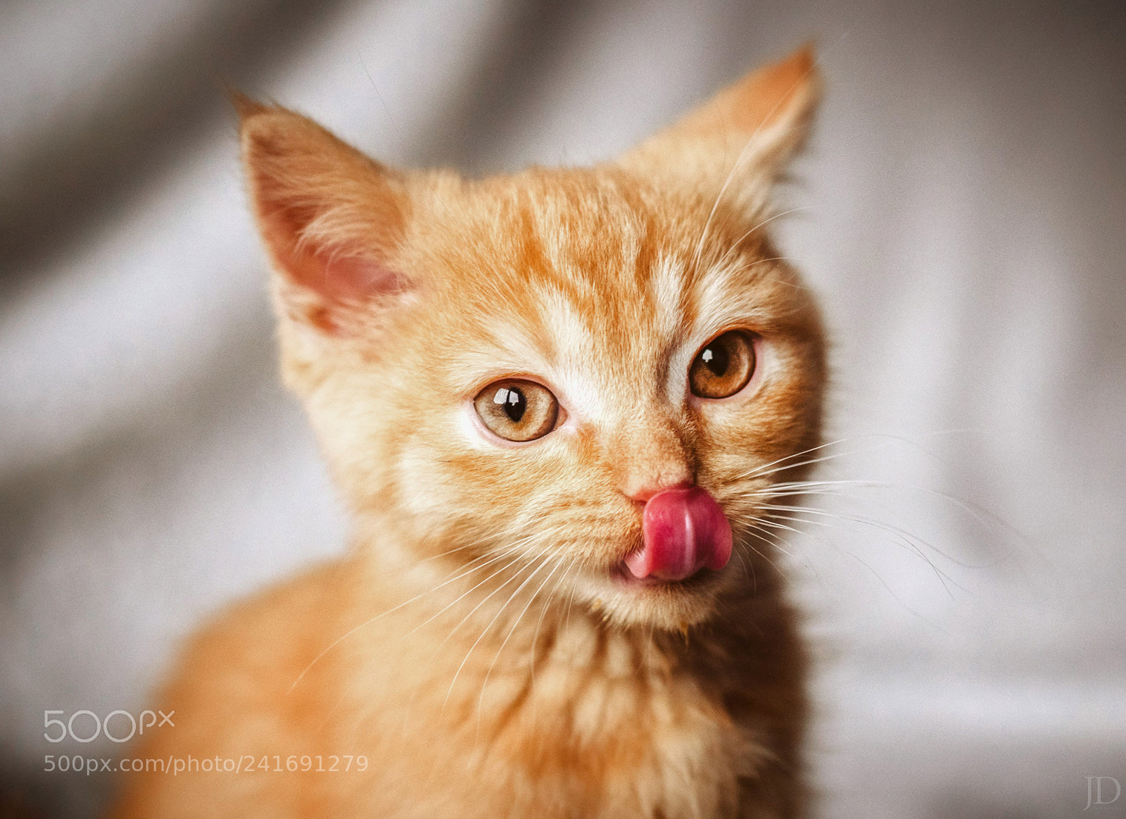 Olympus OM-D E-M1 Mark II sample photo. Walter photography