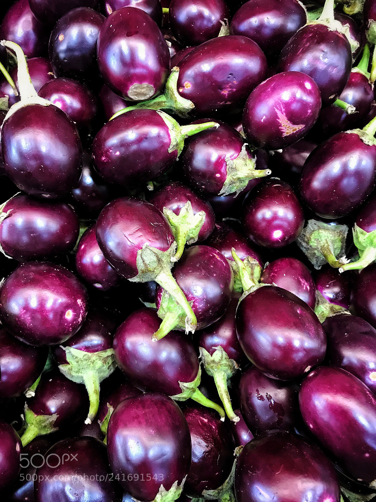 Apple iPhone 7 Plus sample photo. Purple eggplants photography